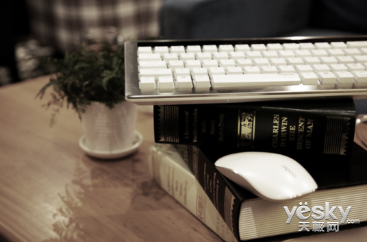 属风 雷柏KX双模式背光机械键盘九游会j9入口登录新版五彩闪耀金(图2)