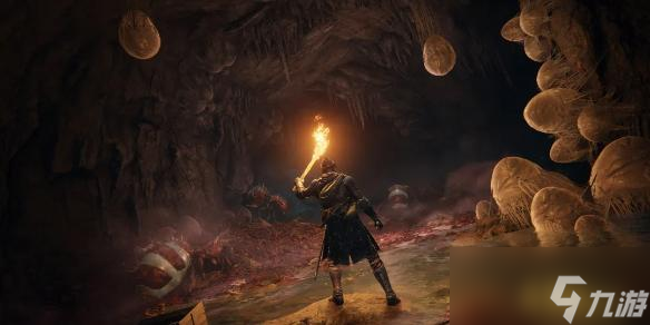 环最新键盘键位图详细介绍九游会j9ag艾尔登法(图1)